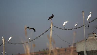  - ���� ������� ������� �������� ������� ��� ���� ��� ��� ������ ���� ��� ��� ���� �������� ������� �� ����� ������� �������� �����..........