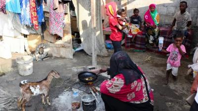  - انخفاض الوافدين الأفارقة إلى اليمن بنسبة 15% في مايو الماضي
 